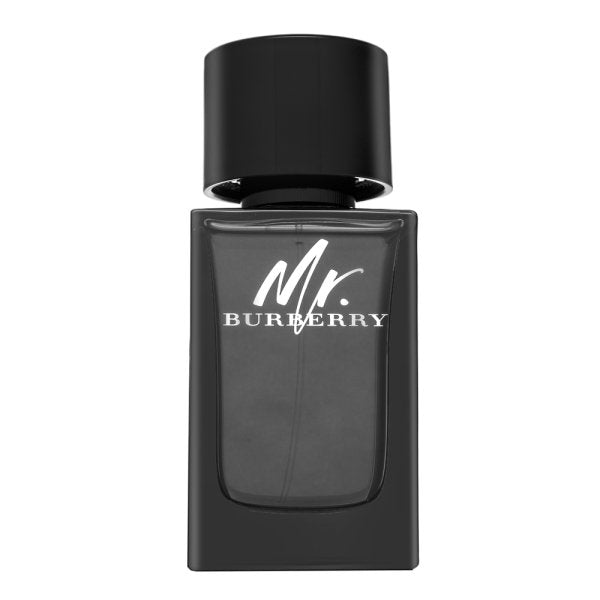 Burberry Pan. Burberry Parfémovaná voda pro muže 100 ml