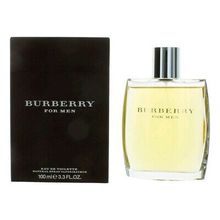 Burberry Burberry عطر أو دي تواليت للرجال - 100 مل