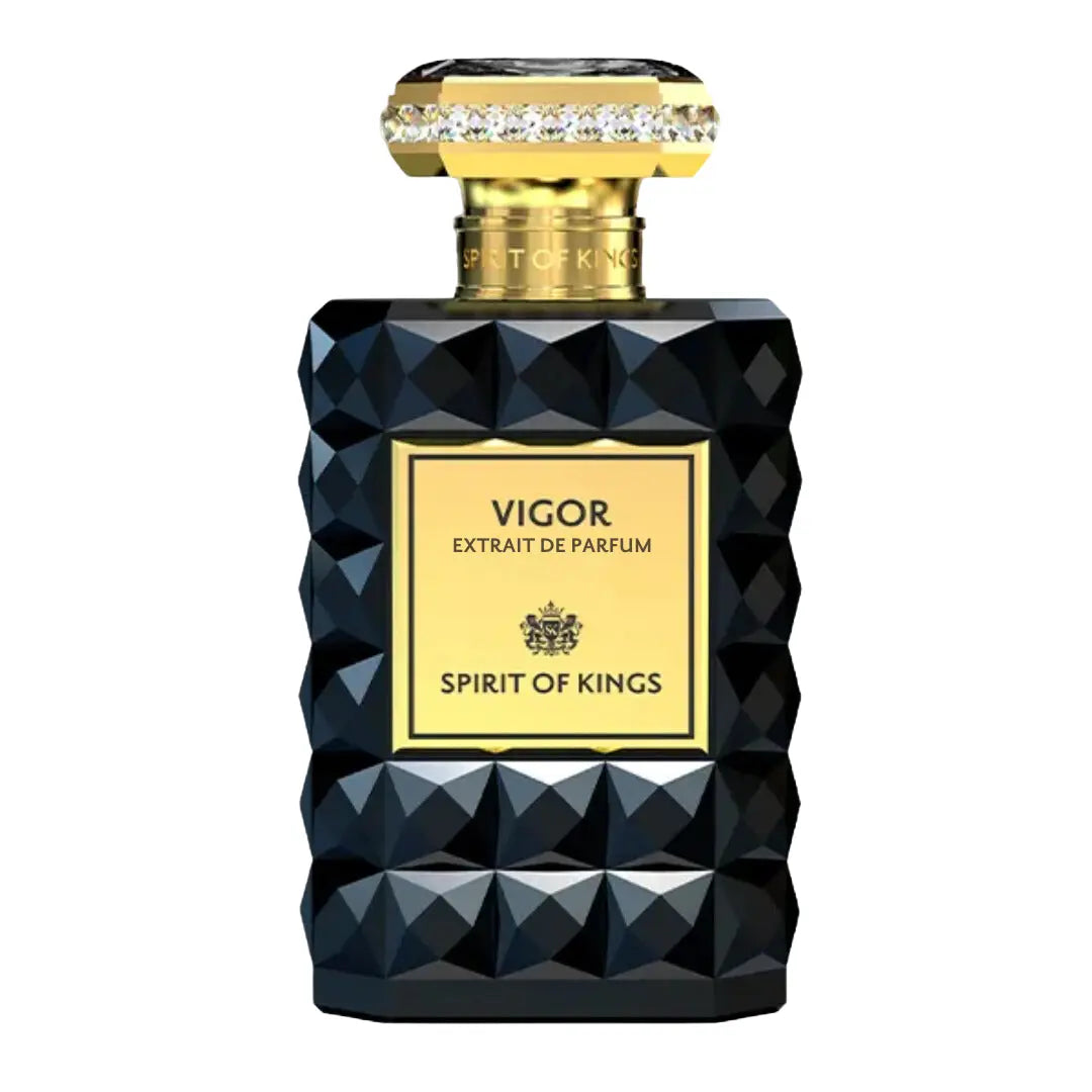 Spirit Of Kings Vigor Spirit Of Kings eau de parfum unisex - 100 Ml