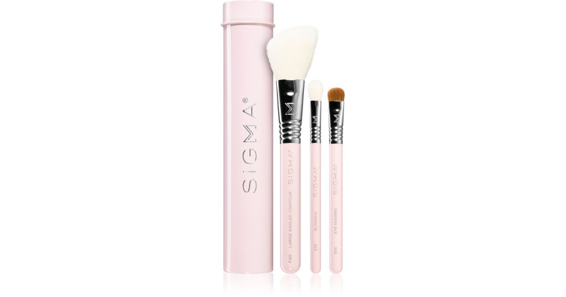 Sigma Beauty Essential set di pennelli con custodia