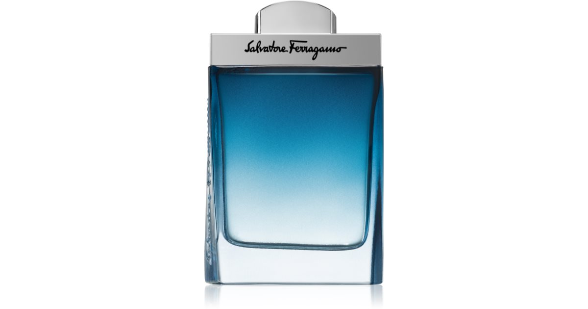 Ferragamo Subtil Eau de Toilette for men 50 ml