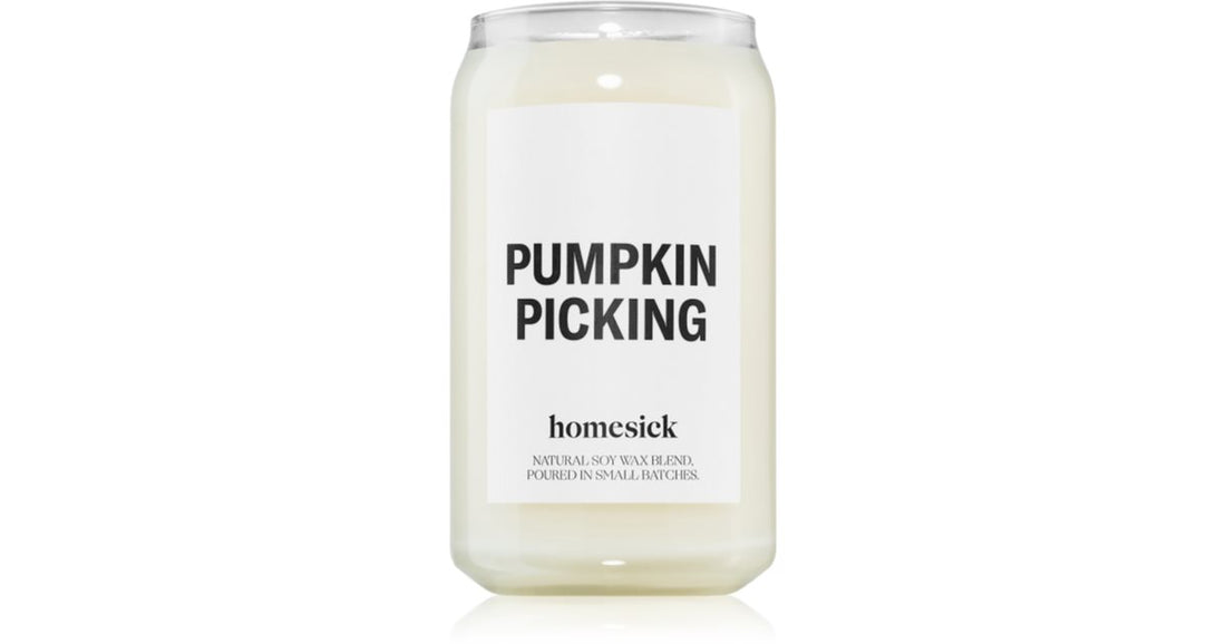 homesick picking zucca 390 g candela profumata