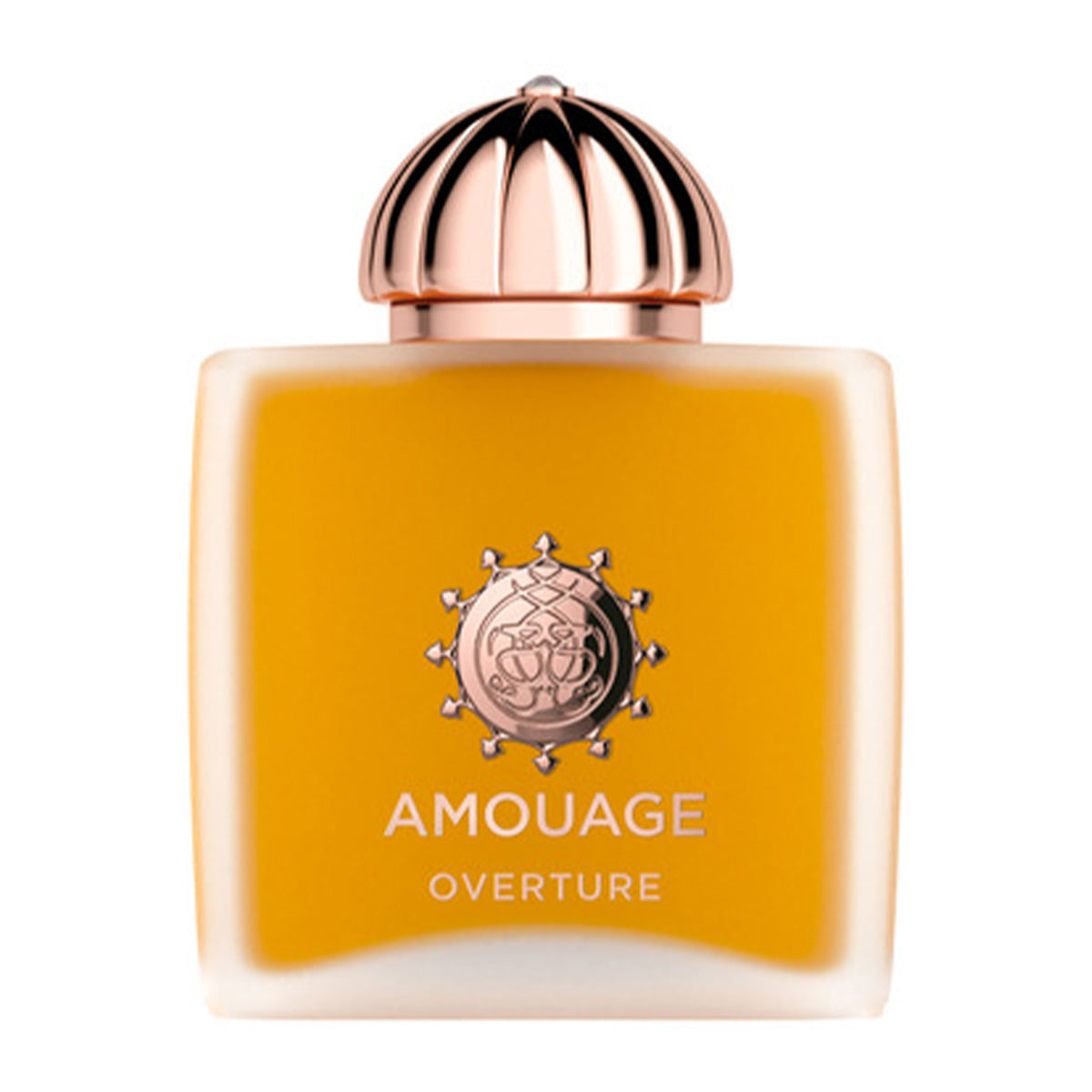 Amouage Overture Eau de Parfum Donna 100 ml