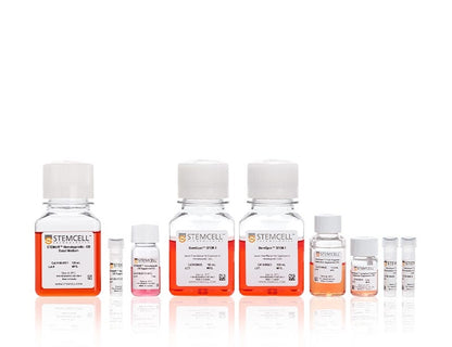 Stemcell Cell Attivatore 50ml — Siero Viso