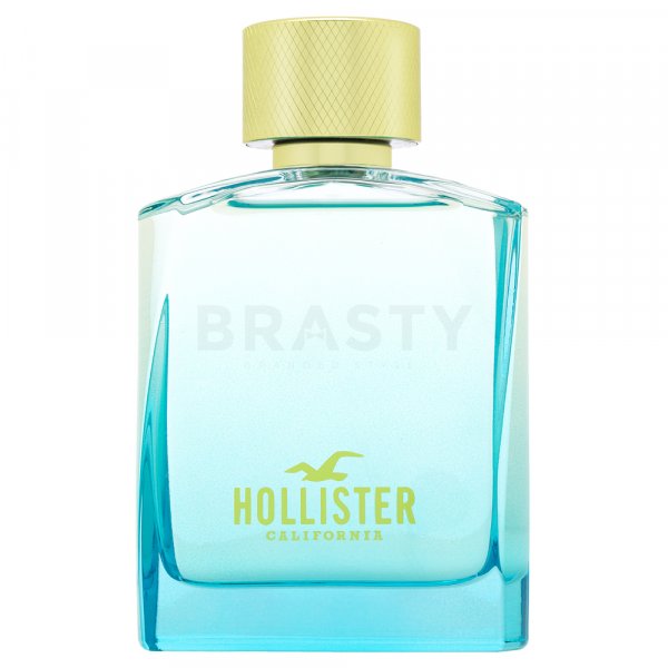 Hollister Wave 2 для него EDT M 100 мл.