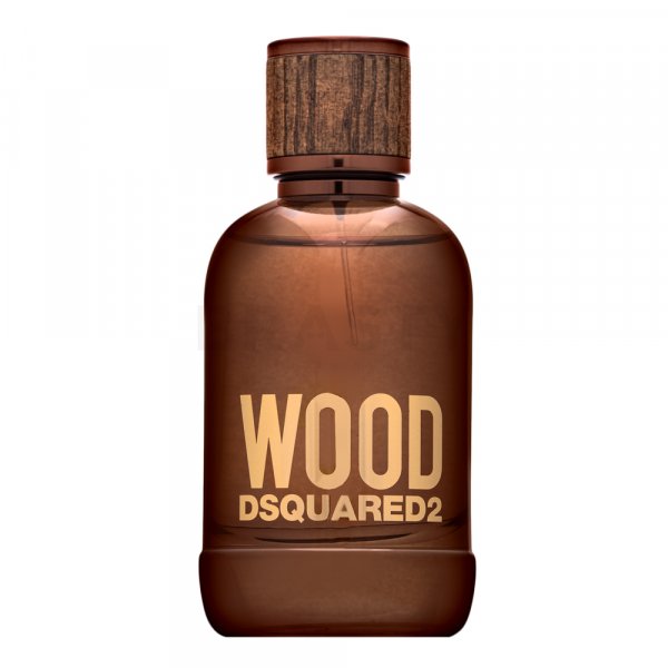 Dsquared2 Hout Eau De Toilette Heren 100 ml