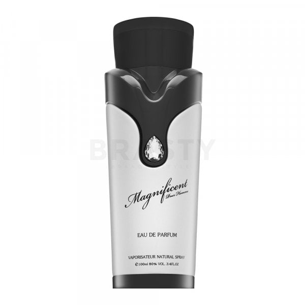 Armaf Magnificent Pour Homme EDP M 100 מ&quot;ל