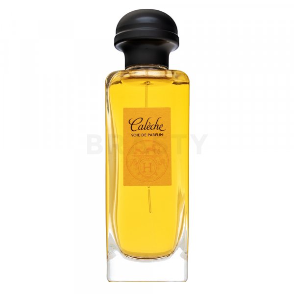 Hermès Caleche Soie De Parfum Eau de Parfum Women 100 ml