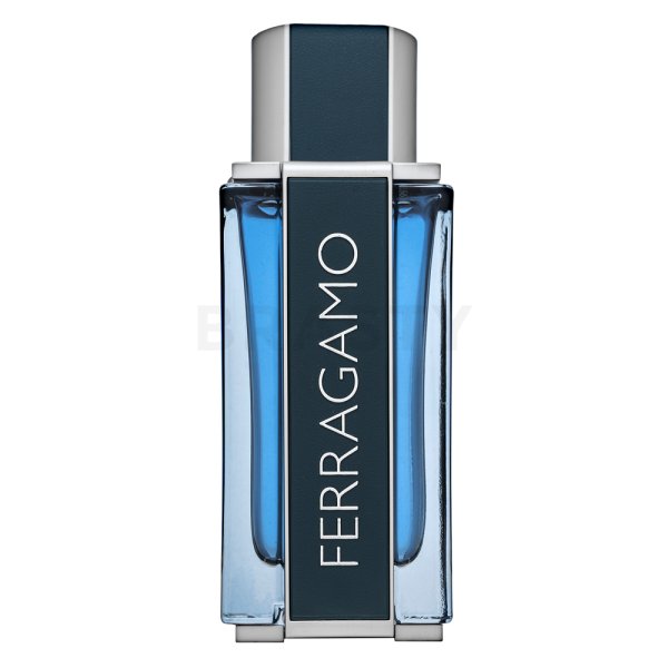 Salvatore Ferragamo Intense Leather EDP M 100 ml