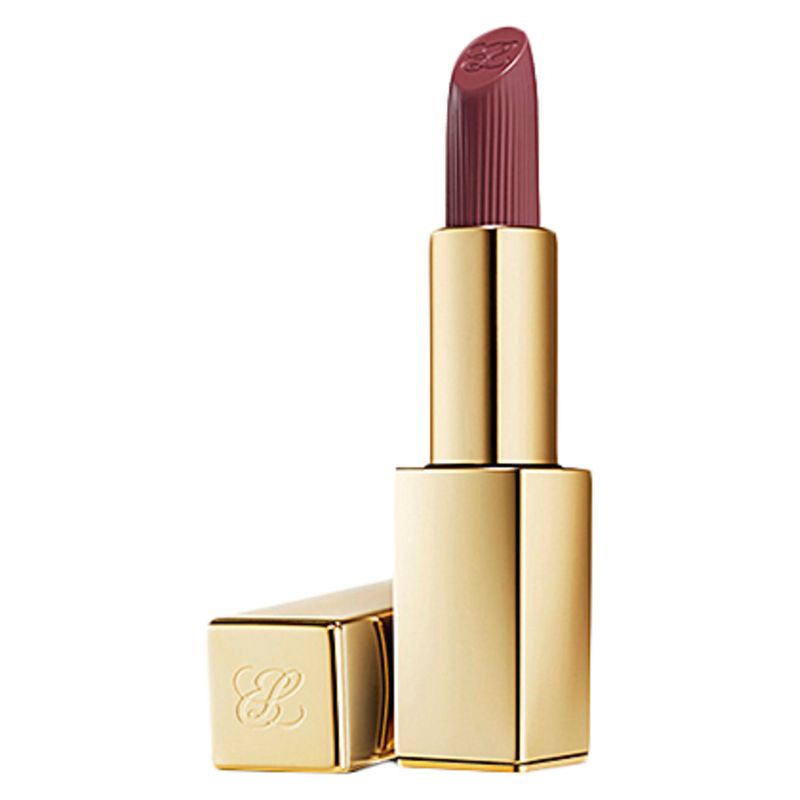 Estee lauder PURE COLOR - RTĚNKA 809 - SECRET SCANDAL MATT FINISH