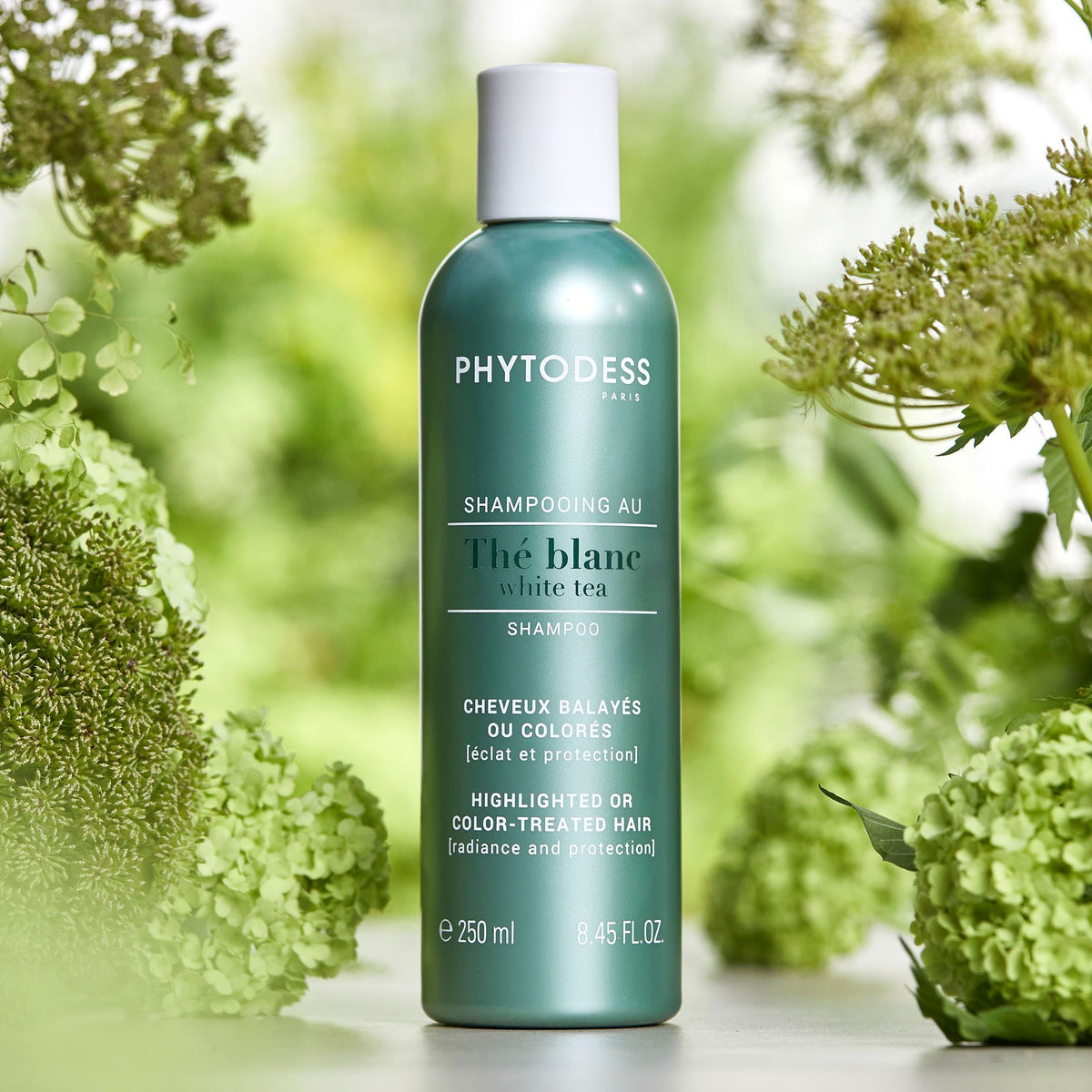 Phytodess Green Tea 250 ml — Shampoo tè verde