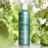 Phytodess Green Tea 250 ml — Shampoo tè verde
