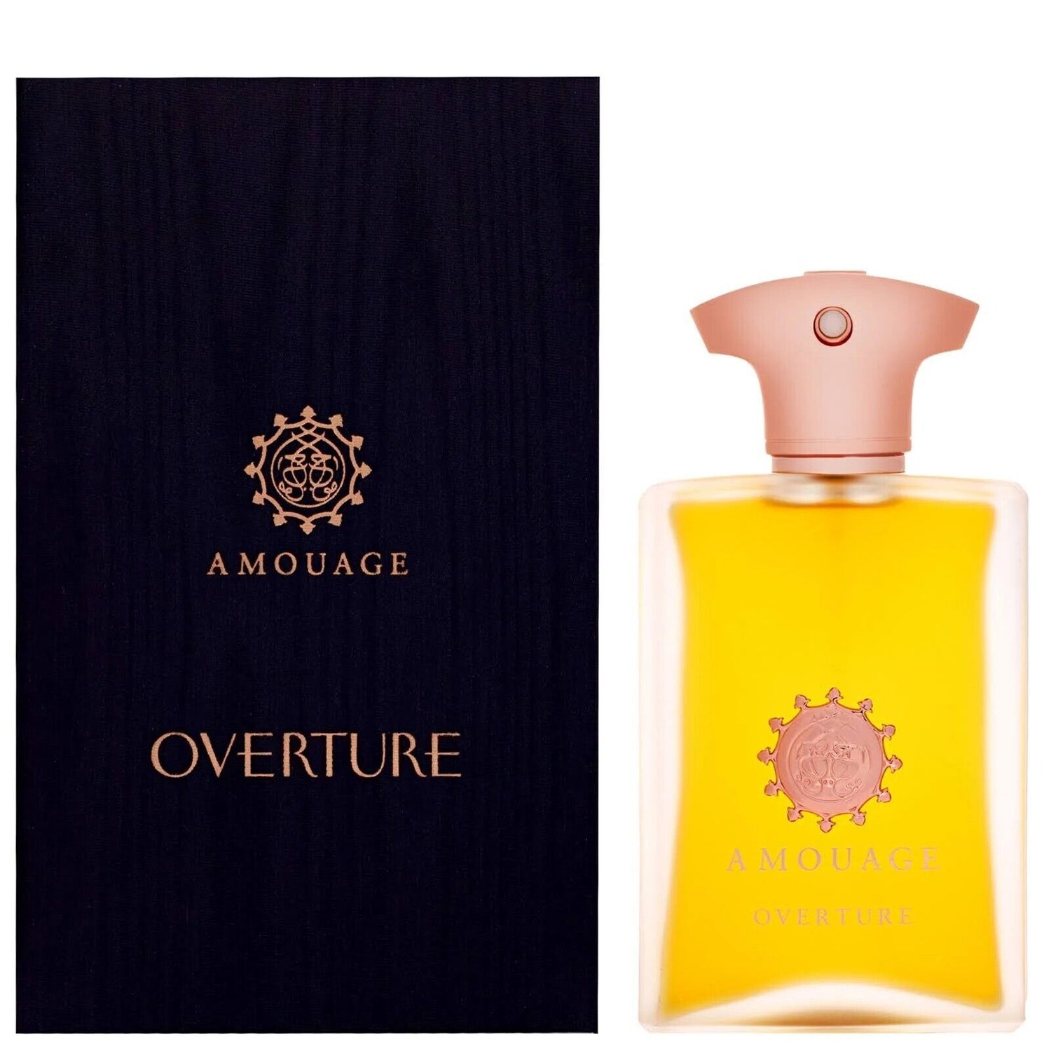 Amouage Abertura Eau de Parfum para Homens 100 ml