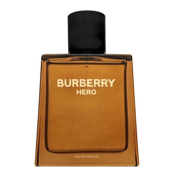 Burberry Hero Eau de parfum pro muže 100 ml