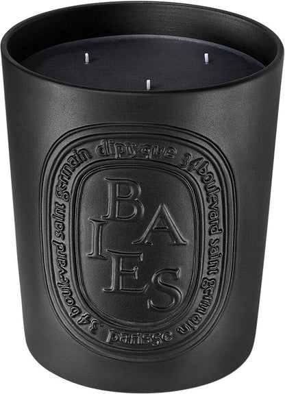 Diptyque Candela Baies 600g — Candela