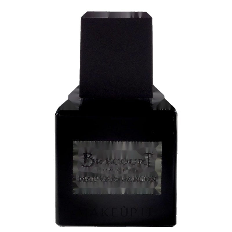 Brecourt Mauvais Garcon Eau de Parfum 50 ml