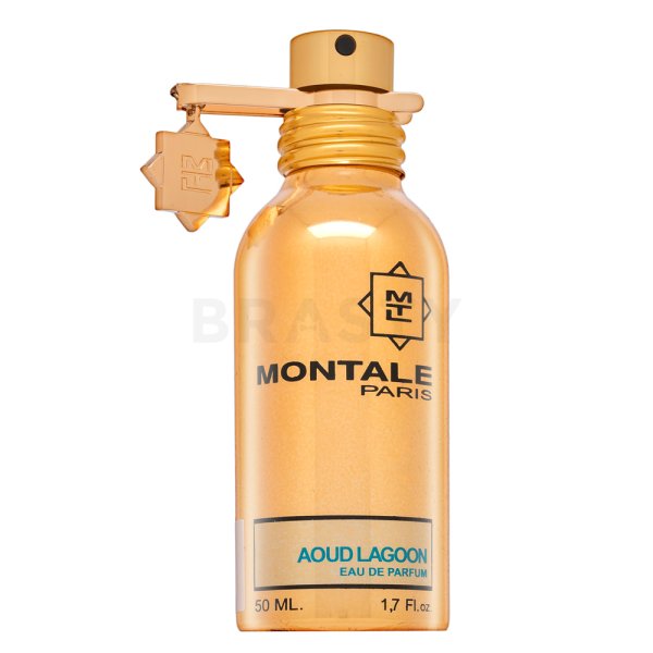 Montale Aoud Lagon EDP U 50 ml