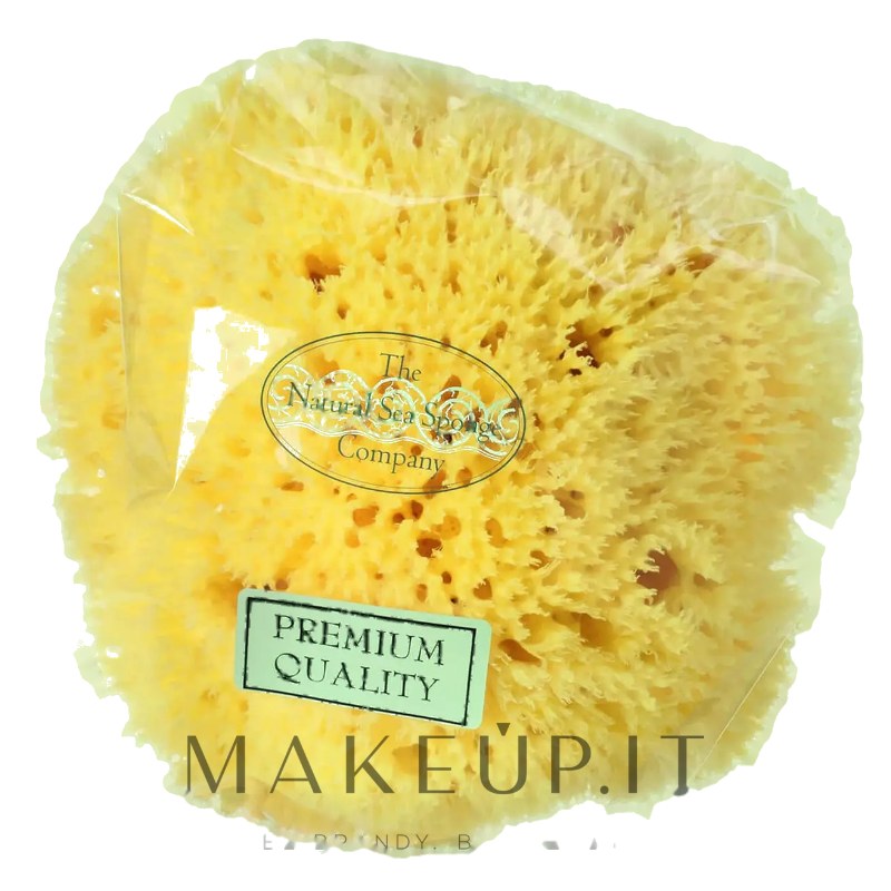 Spugna di mare naturale, 12,7 cm Hydrea London Honeycomb Sea Sponge Premium Quality