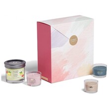 Yankee Candle Art In The Park Set Regalo