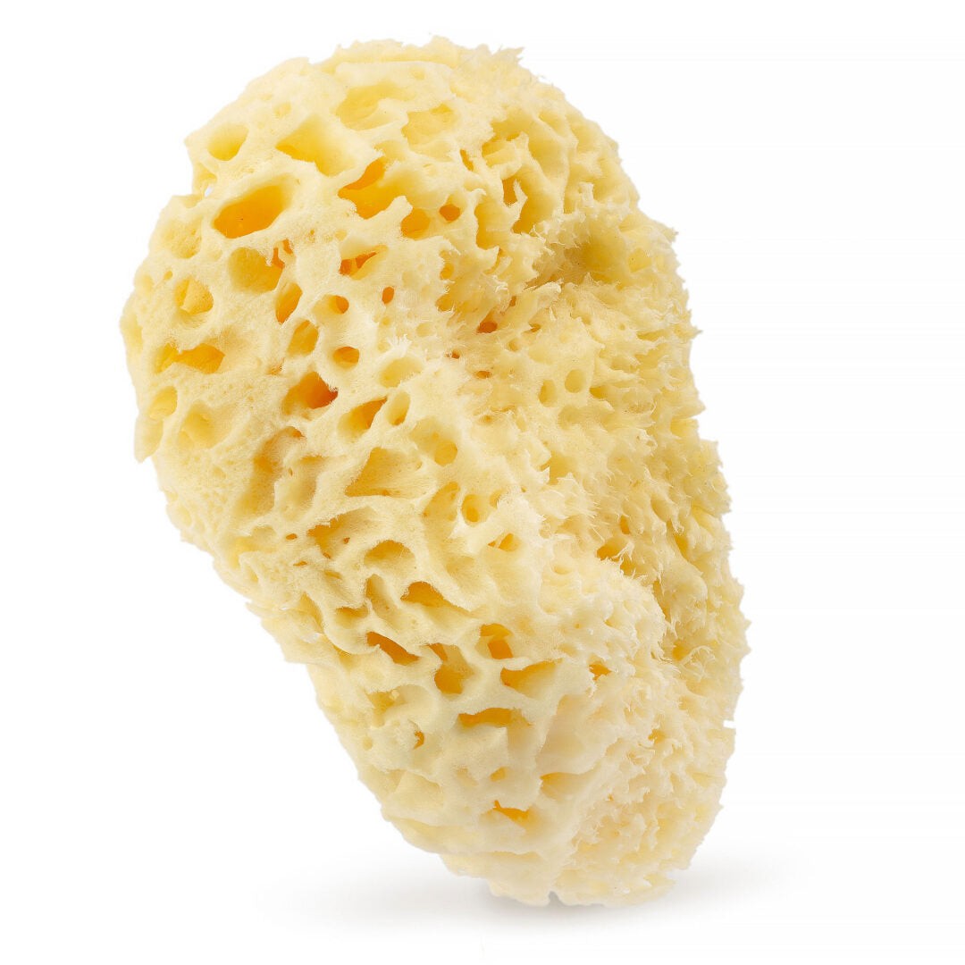 Hhuumm Spugna doccia naturale gialla 17,5 cm — Spugna doccia