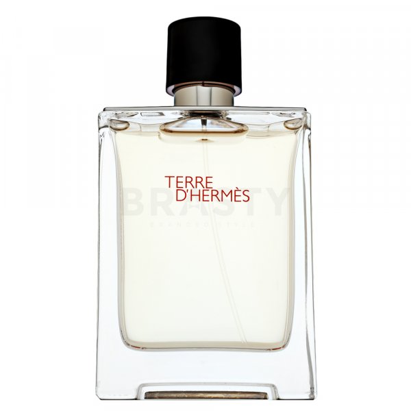 Hermes Terre D'Hermes Eau de Toilette Uomo 100 ml