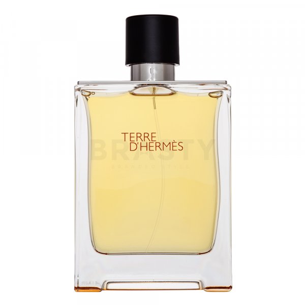 Hermes Terre D&