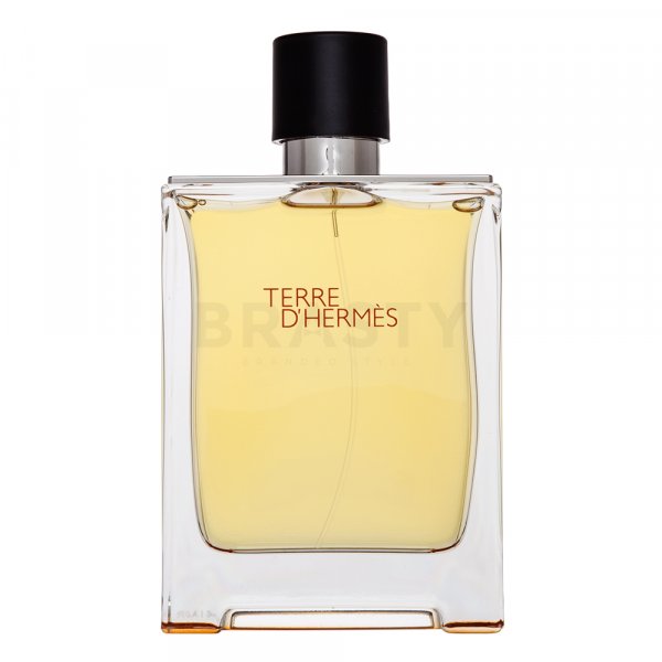 Hermes Terre D'Hermes Eau de Toilette Men 200 ml