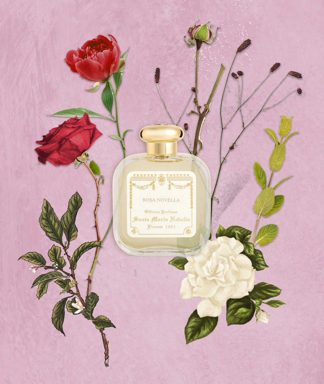 Santa Maria Novella Rosa Novella 50 ml — Acqua di Colonia