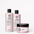 Maria Nila Set di colori luminosi — Set cura capelli