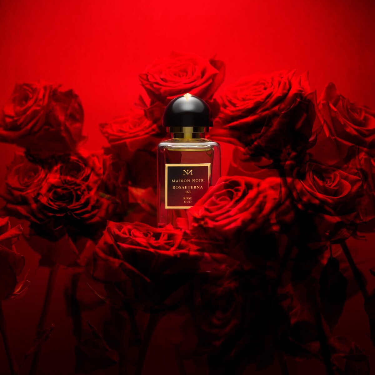 Maison Noir Rosa Eterna 163 100 ml — Eau de Parfum