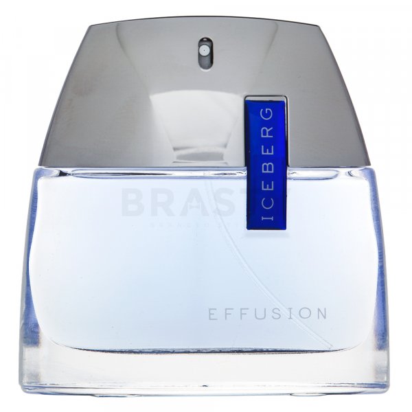 Iceberg Effusion uomo EDT M 75 ml