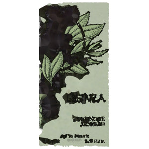 Essenza Milano Parfums 화이트 티와 생강 향수 100 ml