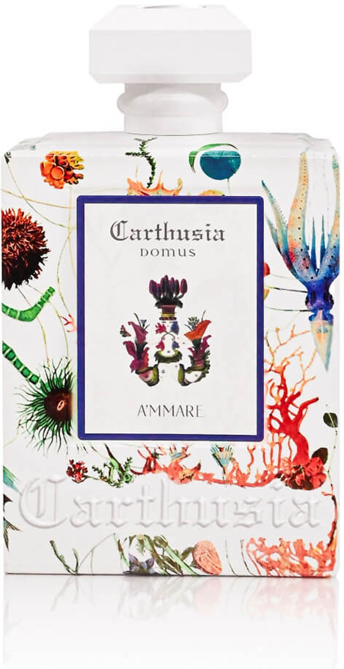 Carthusia Domus A Mmare Diffusore per Ambiente Aromatico 480 ml — Diffusore