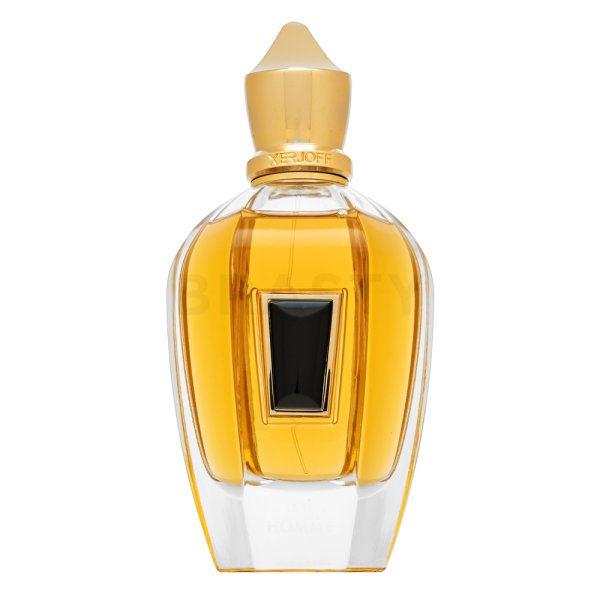 Xerjoff 17/17 eau de parfum voor mannen 100 ml