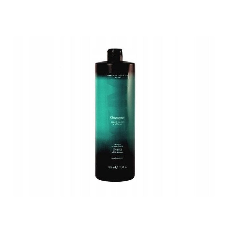 DCM Shampoo For Dry And Brittle Hair — shampoo rigenerante per capelli secchi e danneggiati 1000 ml