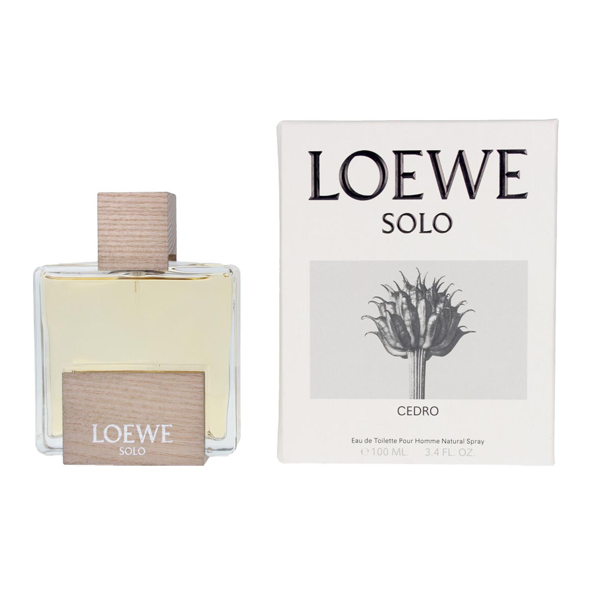 Loewe Cedro et 100 Vp のみ - 新しいフォーマット