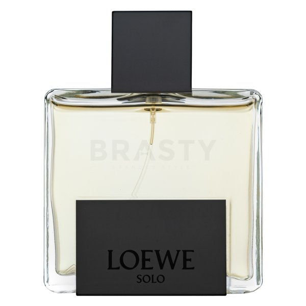 Loewe Solo Loewe Mercurio EDP M 100 毫升