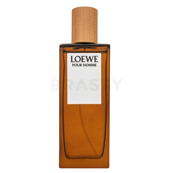 Loewe Pour Homme EDT M 50 מ&quot;ל