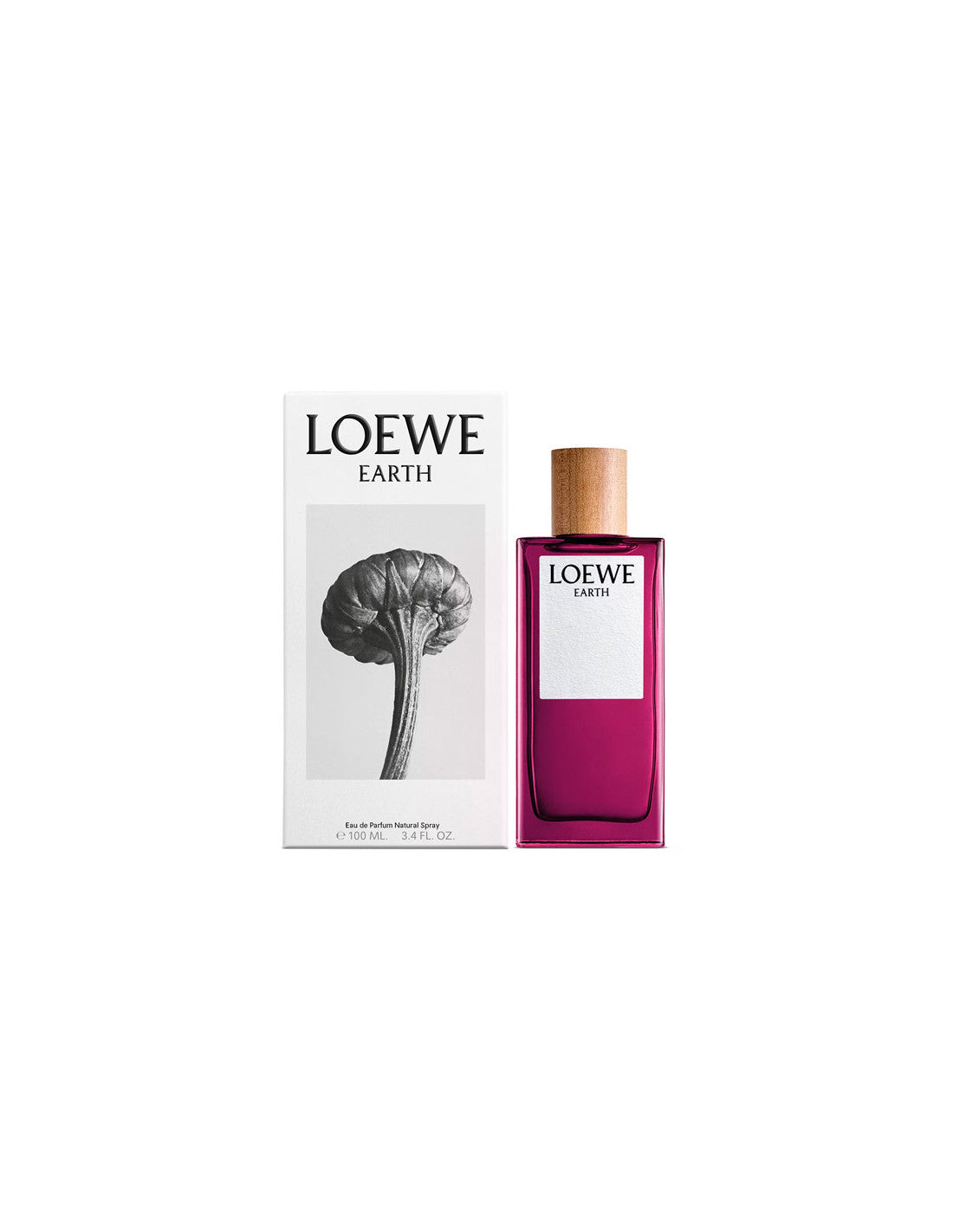 Loewe Earth Ep 100 Вап