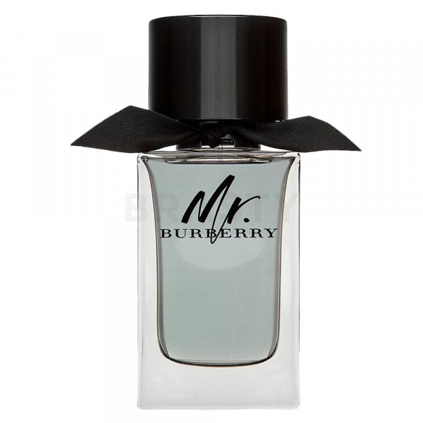 Burberry Herr. Burberry EDT M 100ml