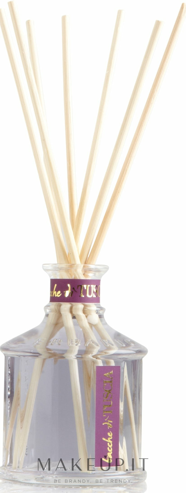 Erbario Toscano Bacche di Tuscia Luxury Home Fragrance Diffuser Profumo per casa 100 ml