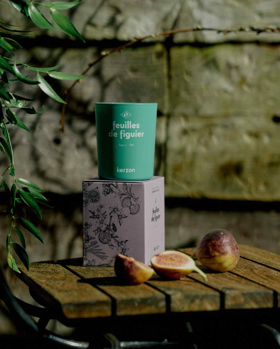 Kerzon Feuilles de Figuier — Candela