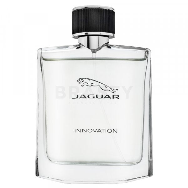 Jaguar 创新 EDT M 100 毫升