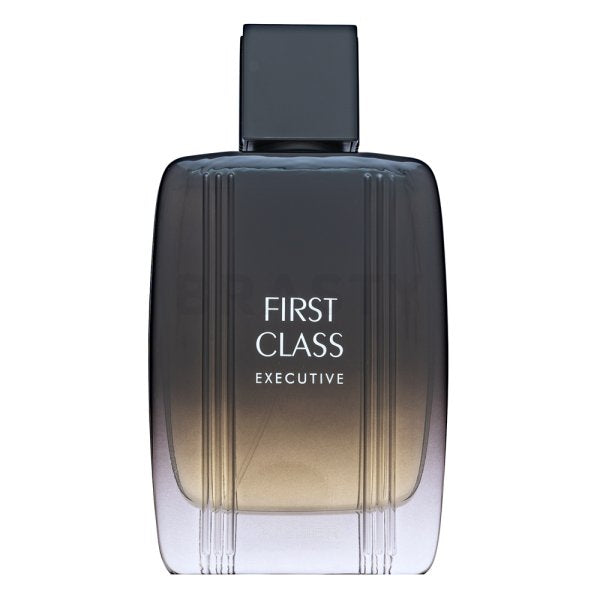 Aigner First Class Executive EDT M 100 ml