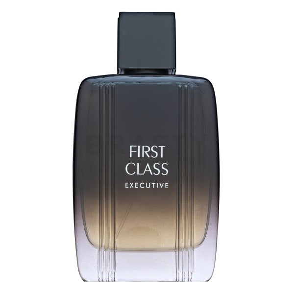 Aigner First Class Executive Eau De Toilette Men 100 ml