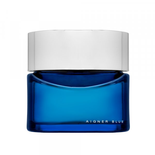 Aigner Blauw voor mannen Eau de Toilette Heren 125 ml