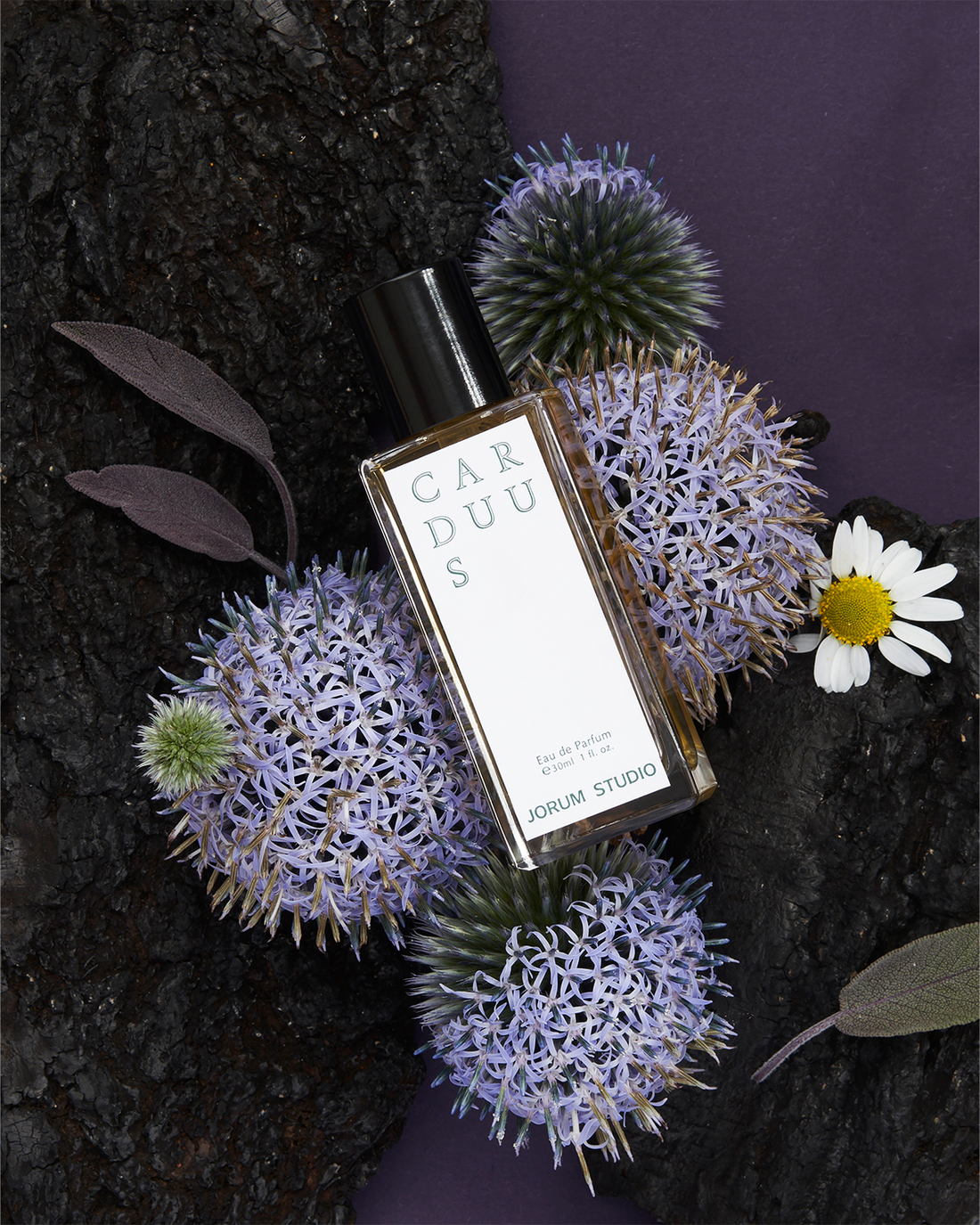 Jorum Studio Progressive Botany Vol. 1 — Discovery Set