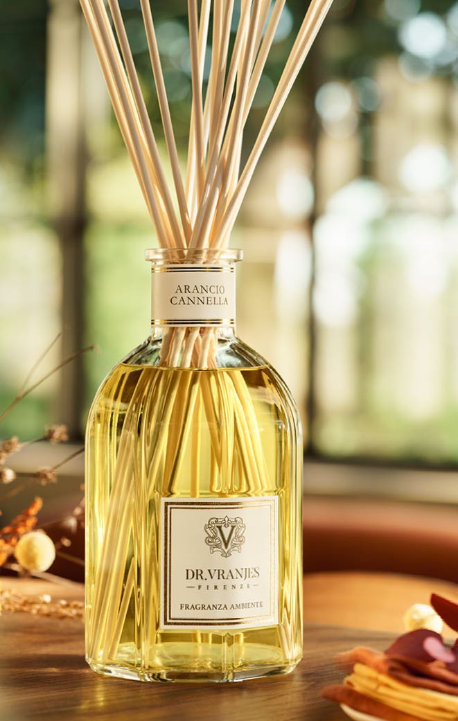 Dr. Vranjes Firenze Arancio E Cannella 500 ml — Diffusore