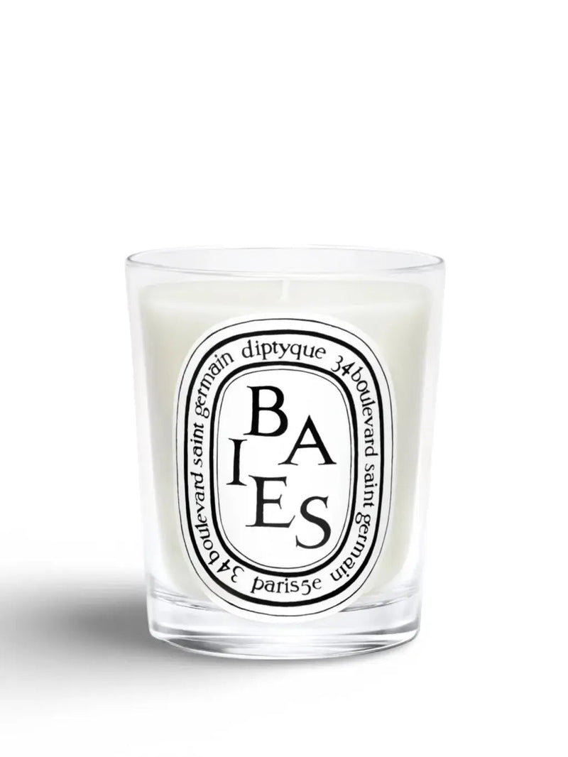 Vela Diptyque Baies - 300 gr.