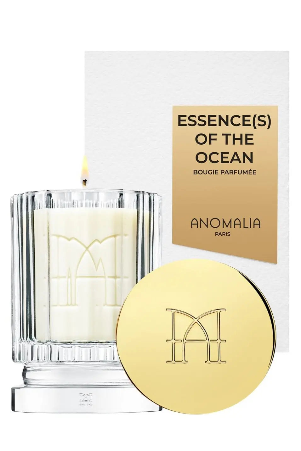 Anomalia Essences of the Ocean Candle 245gr